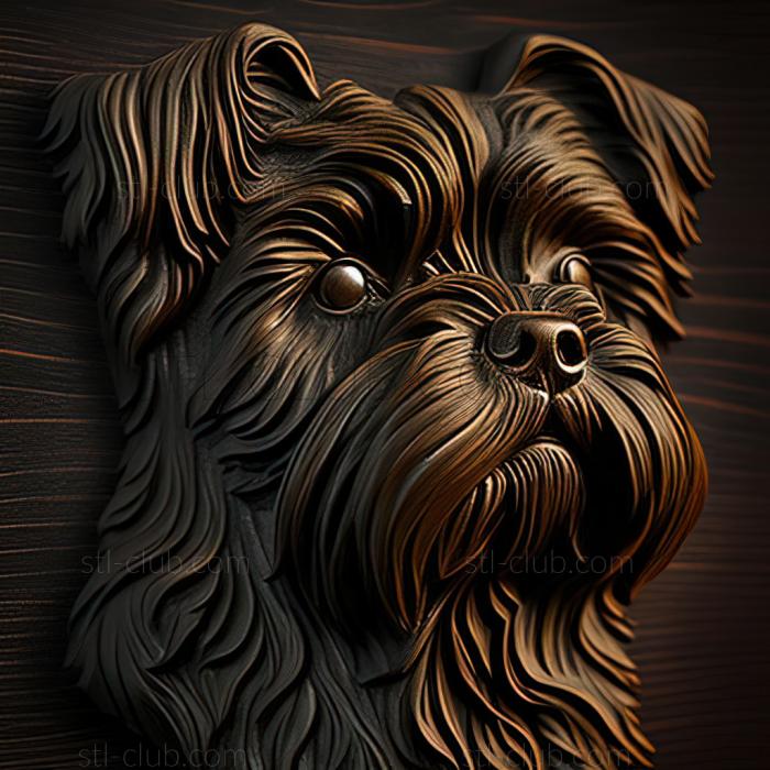 st Affenpinscher dog